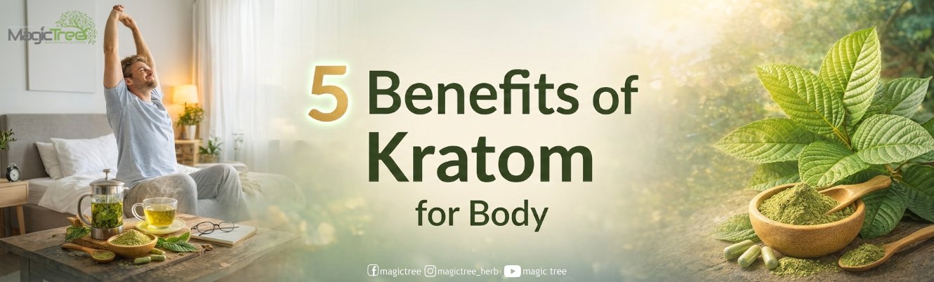 5 Benefits of Kratom