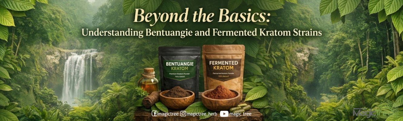 Bentuangie and Fermented Kratom Strains