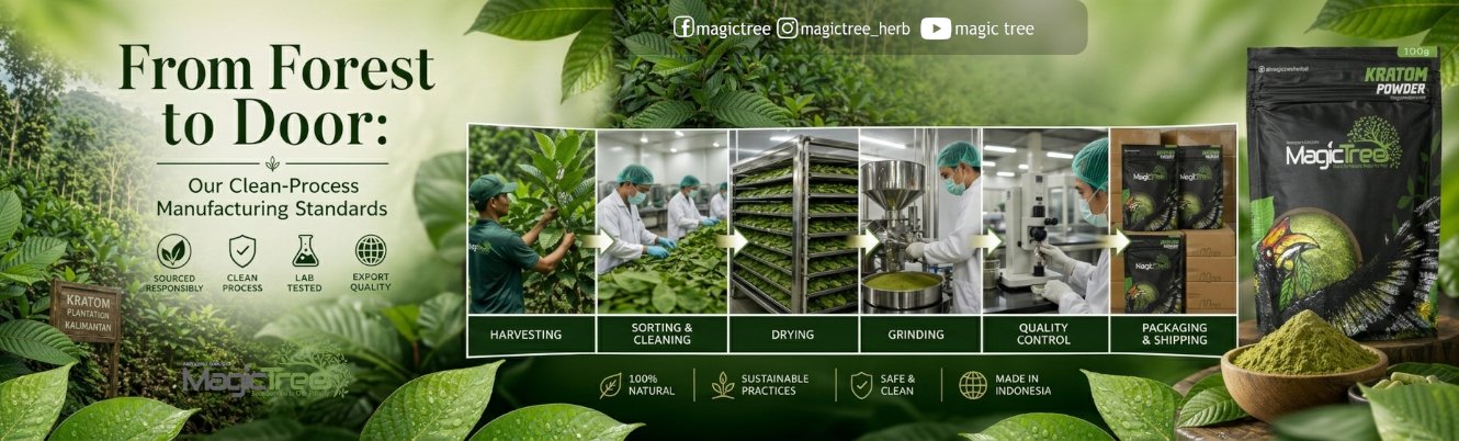 From Forest to Door: Our Clean-Process Manufacturing Standards