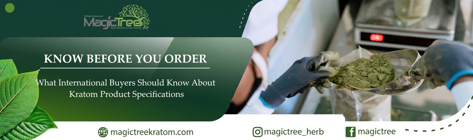Know Before You Order: What International Buyers Should Know About Kratom Product Specifications