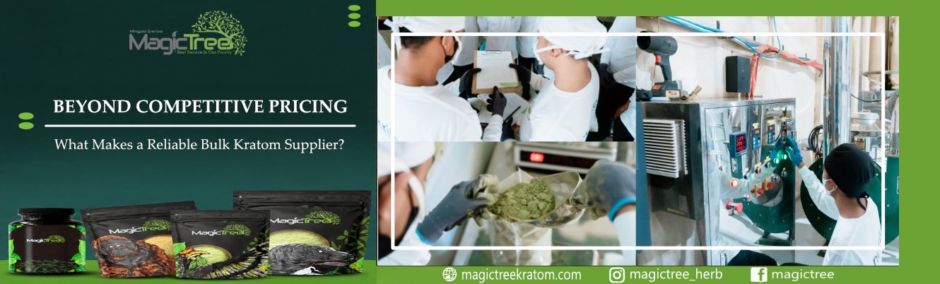 Beyond Competitive Pricing: What Makes a Reliable Bulk Kratom Supplier?