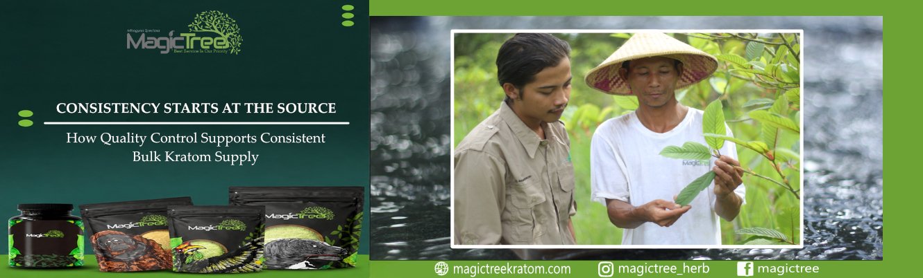 Consistency Starts at the Source: How Kratom Quality Control Supports Consistent Bulk Kratom Supply
